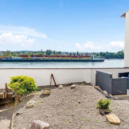נויוויד Tiny Apartment With Spacious Terrace On The Rhine מראה חיצוני תמונה